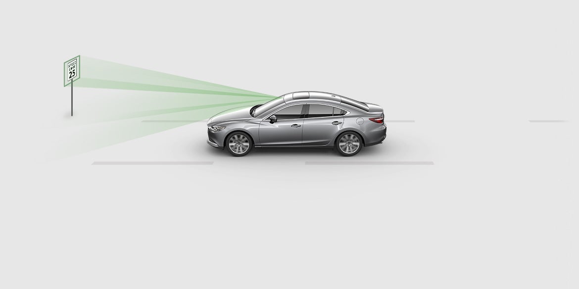 Traffic Sign Recognition System