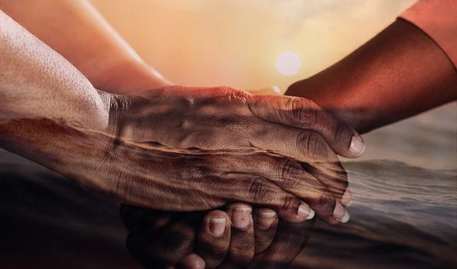 Shopping for a new or used vehicle near me? Mazda of South Charlotte gives back to the community with every purchase. Mazda of South Charlotte donates a portion of all transactions including new or used vehicles for sales and gives back to to the community.