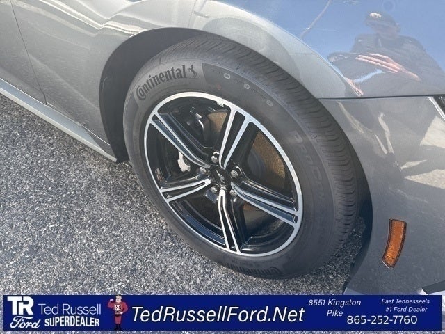 2025 Ford Mustang EcoBoost
