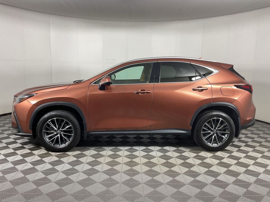2025 Lexus NX 250 Premium