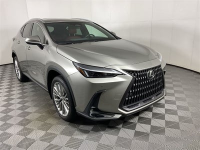 2025 Lexus NX 350h Premium