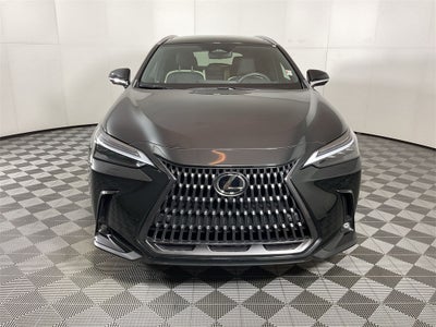 2024 Lexus NX 350h Luxury