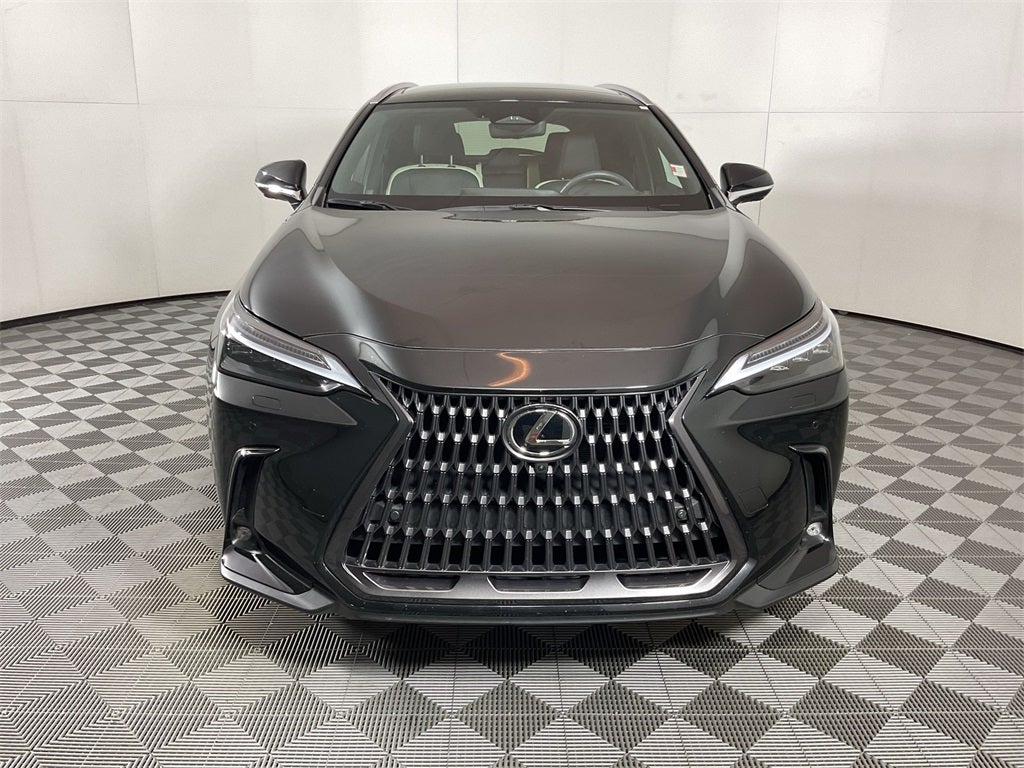 2024 Lexus NX 350h Luxury