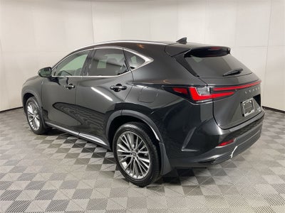 2024 Lexus NX 350h Luxury