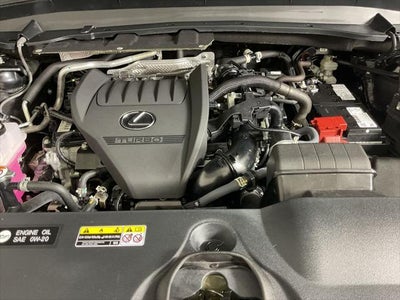 2024 Lexus TX 350 Luxury