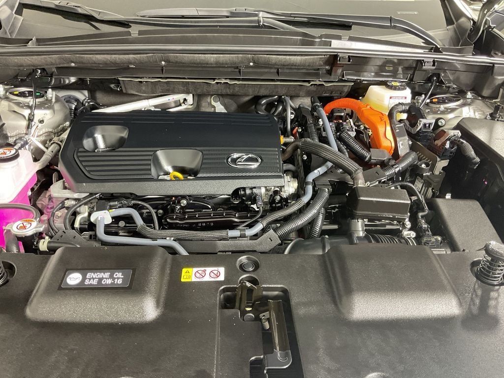 2025 Lexus NX 350h Premium