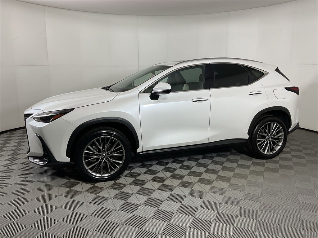 2023 Lexus NX 350h Luxury
