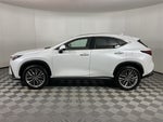 2023 Lexus NX 350h Luxury