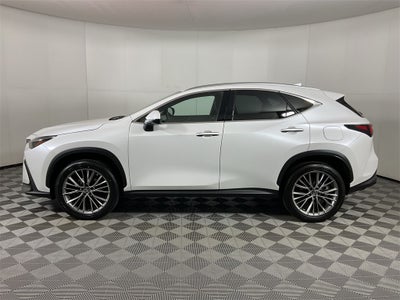 2023 Lexus NX 350h Luxury