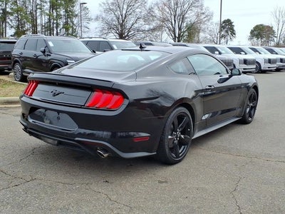 2023 Ford Mustang EcoBoost