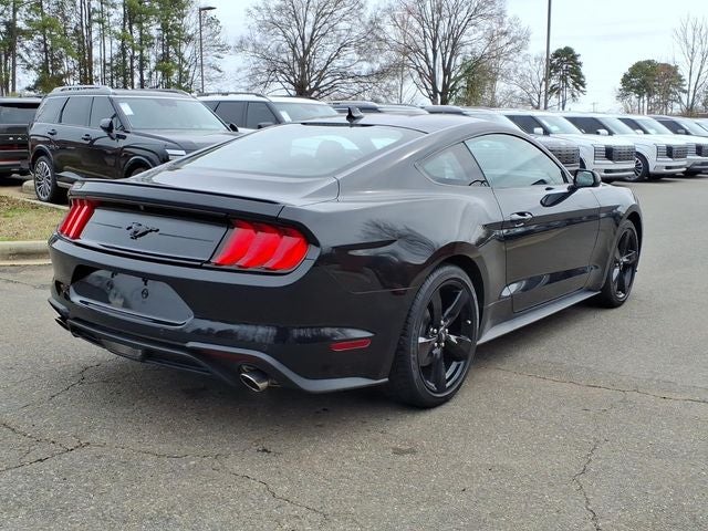 2023 Ford Mustang EcoBoost