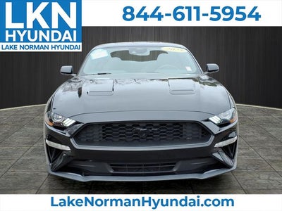 2023 Ford Mustang EcoBoost