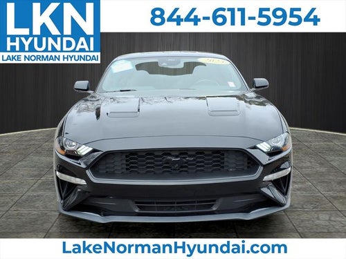 2023 Ford Mustang EcoBoost