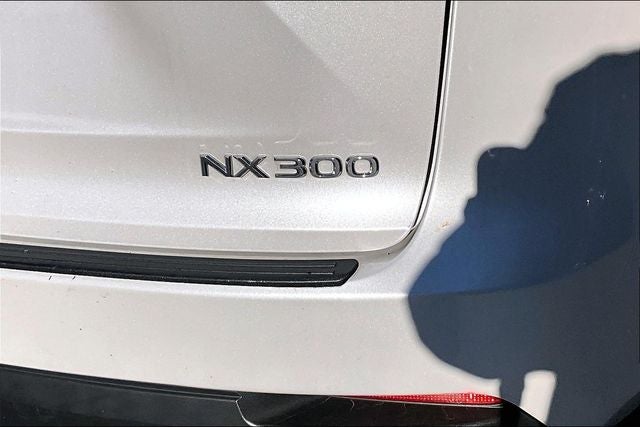 2021 Lexus NX NX 300