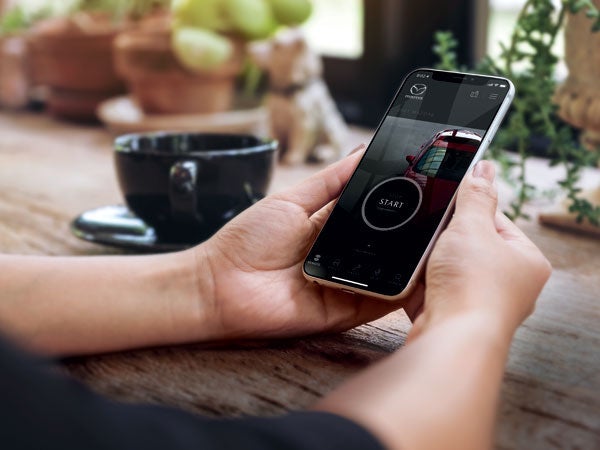 Mazda of South Charlotte in Pineville NC